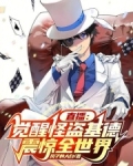 直播怪盗基德系统