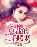 总裁的二手新妻全文免费下载