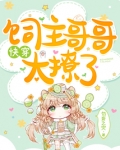 快穿主角哥哥