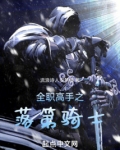 全职高手之落第骑士小说
