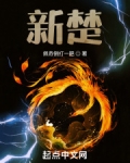 新楚文化期刊是什么级别