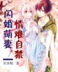 闪婚萌妻，情难自禁