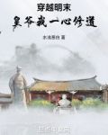穿越明末皇爷我一心修道免费