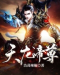 天龙帝尊免费阅读