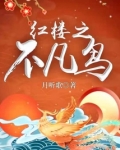 红楼之不凡鸟