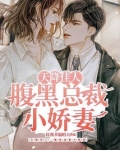 天降佳人：腹黑总裁小娇妻