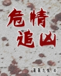 危情追凶 百度网盘