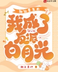 被迫成为反派白月光后