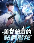 美女总裁的贴身潜龙免费阅读