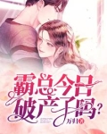 霸总今日破产了吗？
