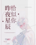 昨夜星辰恰似你快穿by观山雪