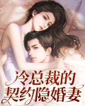 隐婚总裁契约妻小说