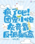 团宠小炮灰5五岁啦