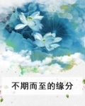 不期而至的缘分