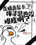直播卖显卡俺寻思也没难度啊