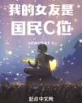 小说我的女友是idol