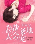 一胎双宝：总裁爹地太会宠