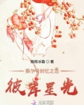 赛尔号封忆之恋彼岸星光第36章