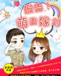 报告，萌妻嫁到