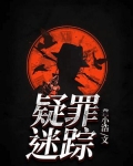 疑犯追踪 迷失