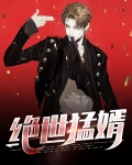 绝世医婿小说