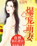 捡到钻石老公:爆宠萌妻
