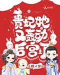 贵妃她又轰动后宫了