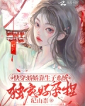 娇娇的快穿小说