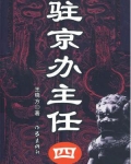 驻京办主任(四) 第2章