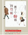 我可能离了个假婚小说