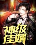 神级佳婿