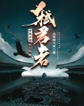 穿越宋朝,他们叫我弑君者的小说