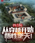 四合院:从穿越开始,悟性逆天!