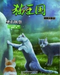 猫武士暗黑王国5