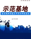示范基地：国务院批准建立中关村科技园区