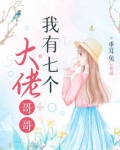 我有七个大佬哥哥