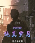四合院：纯真岁月