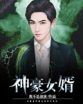 神豪女婿全集完整版