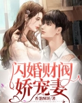 闪婚财阀娇宠妻