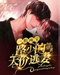 一胎俩宝帝少的天价老婆