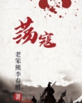 荡寇风云
