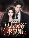 离婚后总裁哭着求复婚